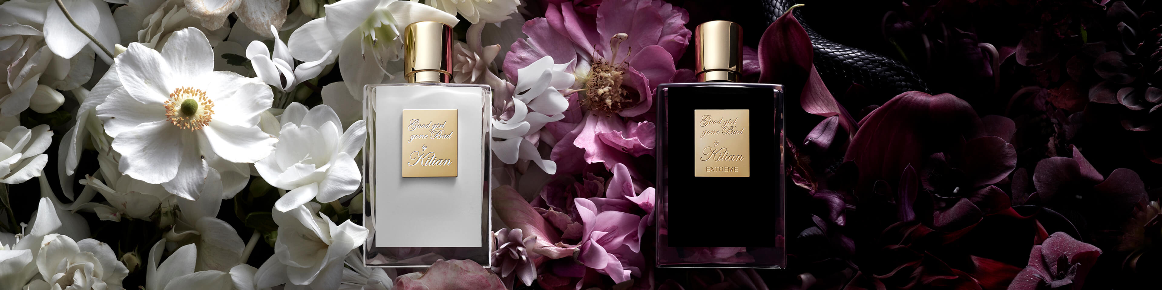 24 Best Perfumes For 2019 Perfume Reviews